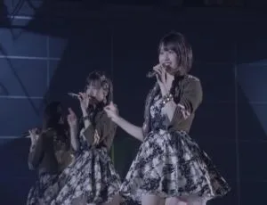 早安少女组日本演唱会 2019：Hello! Project 20 周年及ひなフェス精彩呈现[54G 百度网盘 2BD ISO]-小文资源网
