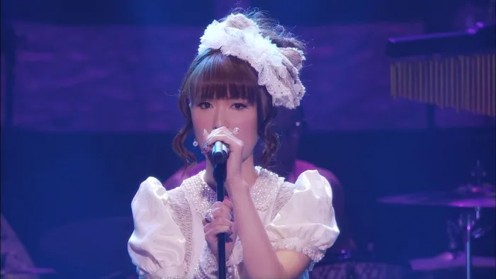 [BD日本演唱会][GARNET CROW livescope 2013 〜Terminus〜][2BD ISO][41.3G][百度网盘]