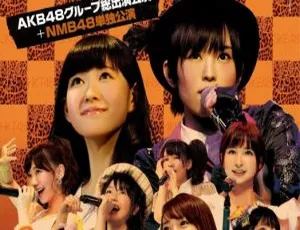 AKB48 集团 2013 临时总会白黑对决！293.87G 高清 BD 资源百度网盘速存-小文资源网