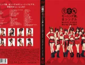 早安少女组日本演唱会全单曲MV蓝光文件2011（2BD ISO 62.3G 百度网盘）-小文资源网