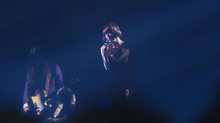[BD日本演唱会][椎名林檎 – (生)林檎博 18 -不惑の余裕- Ringo Sheena Ringo Haku 18 -Fuwaku no Yoyu- [Regular Edition] 2019][BDMV][35.2GB][百度网盘]