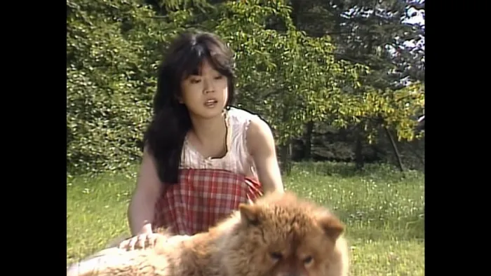 [DB日本演唱会][中森明菜 – NEW AKINA エトランゼ -中森明菜 in ヨーロッパ- 2022][BDISO][18GB][百度网盘]