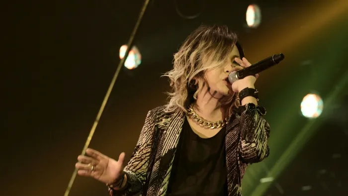 [BD日本演唱会][the GazettE – the GazettE LIVE TOUR 13-14 [MAGNIFICENT MALFORMED BOX] FINAL CODA LIVE AT 01.11 YOKOHAMA ARENA 2014][BDISO][34.8GB][百度网盘]