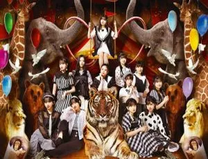 DB日本演唱会！BEYOOOOONDS 2022限量蓝光版BDISO 22.1GB 百度网盘资源-小文资源网