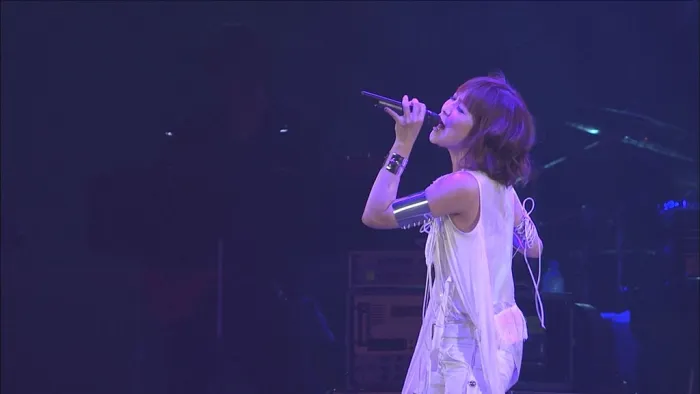 [DB日本演唱会][补全][漫音夏日祭 Animelo Summer Live 2011][BDMV][39.6G][百度网盘]