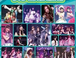 AKB48 2013 ユニット祭り双碟BD日本演唱会 DVD ISO 14.2G 百度网盘资源-小文资源网