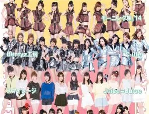 DB日本演唱会：ハロー！プロジェクト – Petit Best 15 2014 BDISO 20.3GB 百度网盘资源-小文资源网