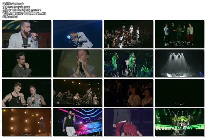 [DB日本演唱会][后街男孩 2013世界巡演日本琦玉站 BackStreet Boys In A World Like This Japan Tour][2BD ISO][44.9G][百度网盘]