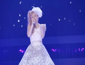 滨崎步2013 - 2014跨年演唱会DB日本场37.5G ISO资源 百度网盘下载-小文资源网
