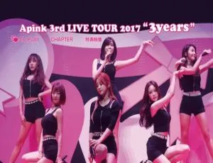 Apink 2017横滨演唱会DB日本场 43.2G资源 百度网盘ISO版-小文资源网