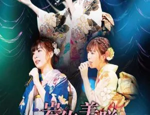 岩佐美咲 2019 日本演唱会 BDISO 资源 38.6G 百度网盘下载-小文资源网