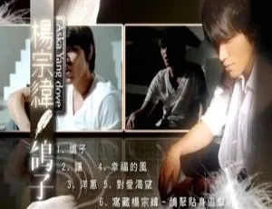 杨宗纬《鸽子》DVD音乐专辑碟 1.65G高清MV 百度网盘资源-小文资源网