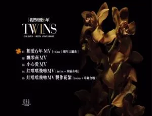 Twins《我们相爱六年》MV 1.28G DVD音乐专辑碟 百度网盘资源-小文资源网