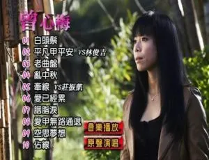 曾心梅老曲盘卡拉OK DVD音乐专辑 2.82G 百度网盘资源-小文资源网