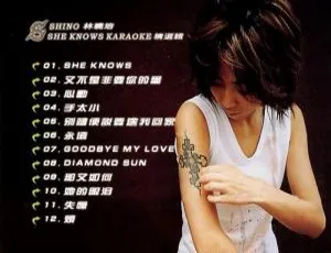 林晓培 She Knows Karaoke 精选辑 DVD 音乐专辑 3.96G 百度网盘资源-小文资源网