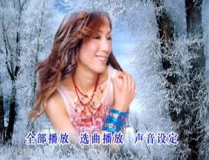 群星情歌101 VOL.2 DVD音乐专辑碟 4.17GB 百度网盘资源-小文资源网