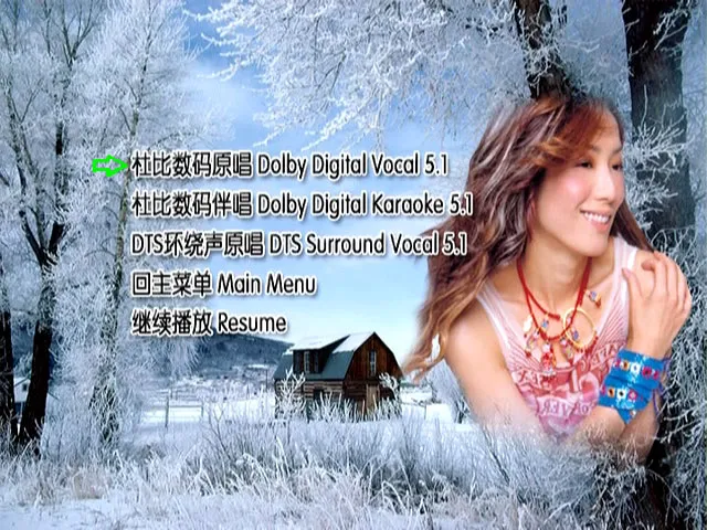 [DVD音乐专辑碟][群星 – 情歌101 VOL.2][DVD ISO][4.17GB][百度网盘]