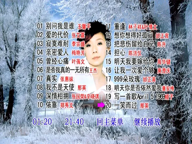 [DVD音乐专辑碟][群星 – 情歌101 VOL.2][DVD ISO][4.17GB][百度网盘]