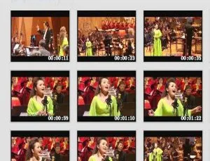 吴碧霞《红楼梦音乐会》DVD音乐专辑碟 4.13G MV 百度网盘资源-小文资源网