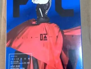 蔡依林《2014 呸（国际豪华版）》DVD 音乐专辑碟 2.46G 百度网盘资源-小文资源网