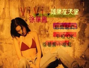 徐华风《如果在天堂》KARAOKE DVD音乐专辑 3.51G 百度网盘资源-小文资源网