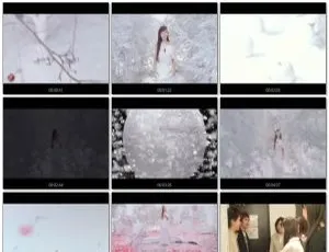 Alan（阿兰）《ひとつ》DVD音乐专辑碟含MV 662MB 百度网盘资源-小文资源网