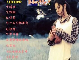 王菲999歌曲精选DVD音乐专辑碟：KTV必备 3.44G百度网盘资源-小文资源网