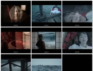 阿兰 Red Cliff〜心戦〜MV音乐专辑DVD碟 793MB 百度网盘资源-小文资源网