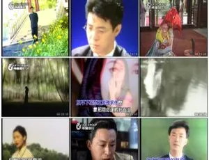 群星《梅花三弄》电视主题曲全集 DVD 音乐专辑碟 3.25G 百度网盘资源 适合 KTV-小文资源网