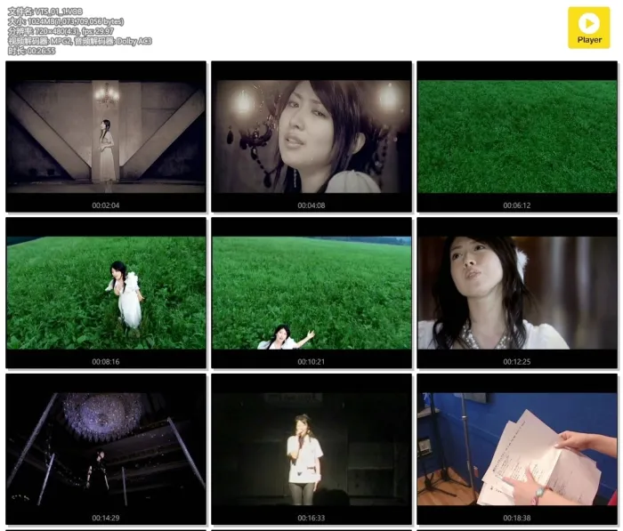 [DVD音乐专辑碟][茅原实里 – 你给我的那一天][MV][DVDISO][3.84GB][百度网盘]