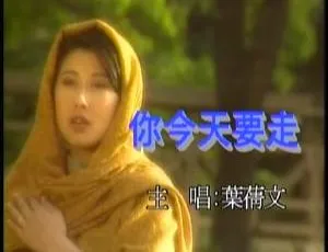 华纳天碟13ADV音乐专辑DVD 4.09G百度网盘D-ISO资源-小文资源网