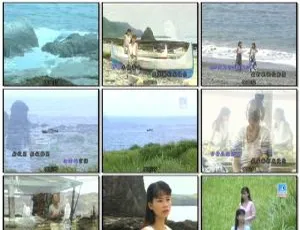 樱花姐妹（詹雅雯 詹雅云）《离别的苦酒》DVD音乐专辑碟 2.8G KTV资源 百度网盘下载-小文资源网
