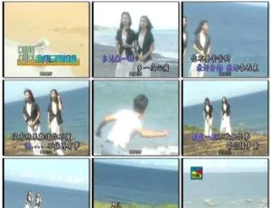 樱花姐妹（詹雅雯 詹雅云）国语老歌(四) KTV 音乐 DVD 专辑 2.95G 百度网盘资源-小文资源网