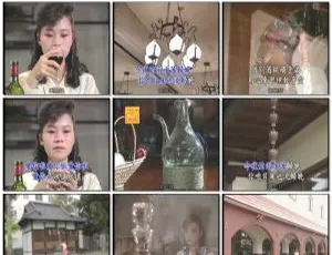 詹雅雯《用心肝饮的酒 日本之旅》DVD音乐专辑 3.29G 百度网盘资源 适合KTV-小文资源网