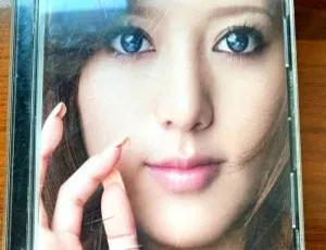 阿兰《Voice Of Earth》DVD音乐专辑碟含MV 4.36G 百度网盘资源-小文资源网