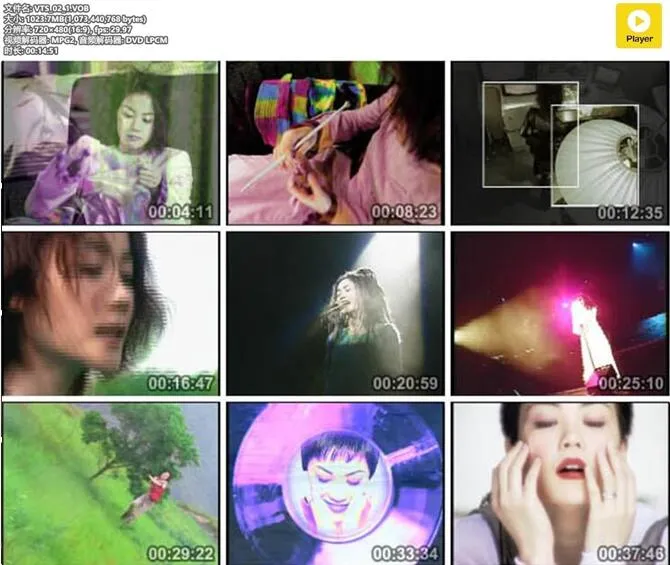 [DVD音乐专辑碟][王菲 – Best of Faye Wong][日版][DVD-ISO][3.84G][百度网盘]