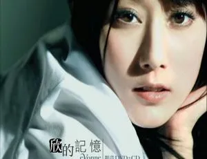 许慧欣《欣的记忆》影音版 DVD 音乐专辑 3.43G 百度网盘资源-小文资源网