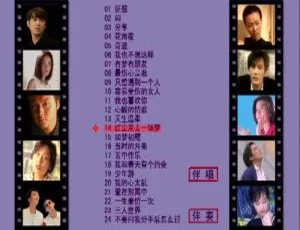 群星百代原装主打金选04 DVD音乐专辑碟 KTV必备 3.91G 百度网盘资源-小文资源网