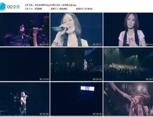 爱内里菜演唱会 DVD 音乐专辑碟 3.62GB 百度网盘资源-小文资源网