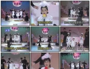 梅花三姐妹1《天涯流星泪》DVD音乐专辑碟3.21G 百度网盘资源-小文资源网