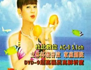 十二大美女海底城泳装歌唱秀 DVD 音乐专辑碟 5.79G 百度网盘资源-小文资源网