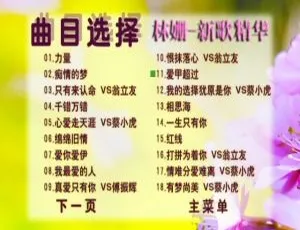 林姗新歌精华DTS5.1声道DVD音乐专辑碟 3.41G 百度网盘资源-小文资源网