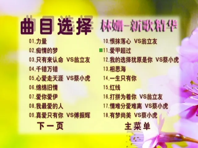 [DVD音乐专辑碟][林姗新歌精华DTS5.1声道][DVD-ISO][3.41G][百度网盘]