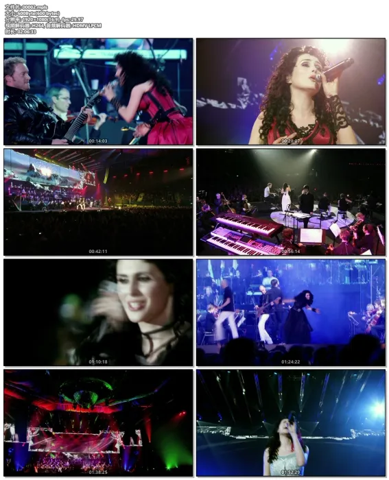 [BD欧美演唱会][Within Temptation – Black Symphony 2008][BDMV][43.1G][百度网盘]