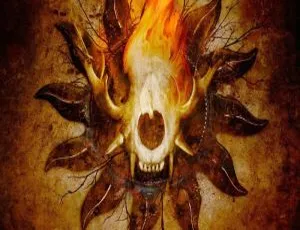 Amorphis 2009 欧美演唱会《Forging the Land of Thousand Lakes》BD 版 44.6G 百度网盘资源-小文资源网