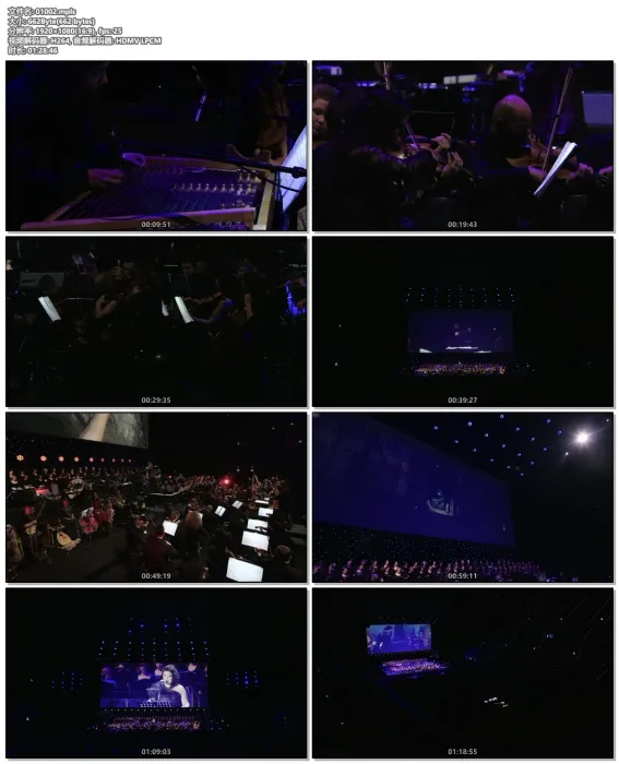 [BD欧美演唱会][巫师3：狂猎音乐会 The Witcher 3 – Wild Hunt Concert 2016 [2018][BDMV][19.5G][百度网盘]