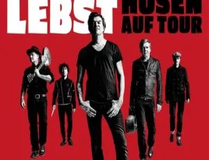 BD欧美演唱会：Die Toten Hosen 2019巡演BDMV资源33.6G 百度网盘-小文资源网
