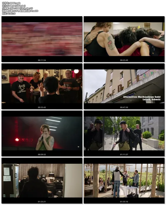 [BD欧美演唱会][Die Toten Hosen： Weil du nur einmal lebst – Die Toten Hosen auf Tour 2019][BDMV][33.6G][百度网盘]