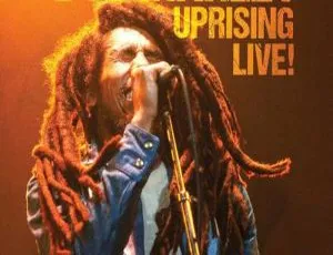 必看！Bob Marley And The Wailers 1980 欧美演唱会 BDMV 高清资源 10.5G 网盘速存-小文资源网
