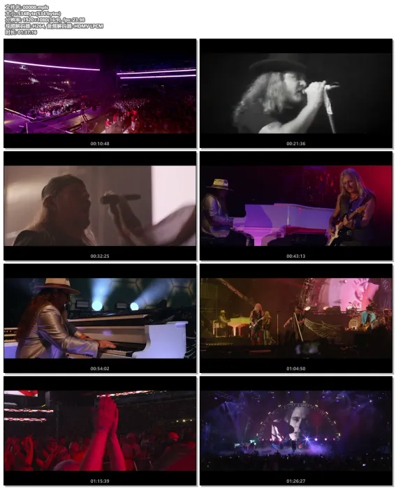 [BD欧美演唱会]Lynyrd Skynyrd – Last Of The Street Survivors Farewell Tour Lyve! 2020[BDMV][24.3G][百度网盘]